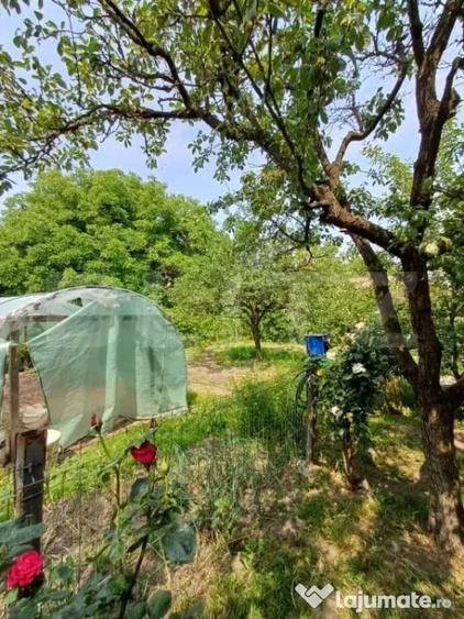 Casă cu 5 camere cu Teren 802 Mp în Turda