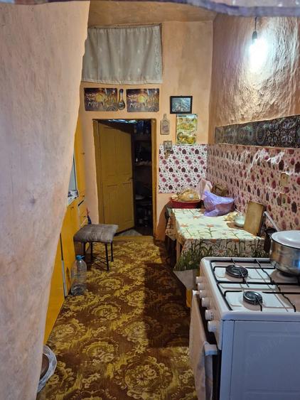 Casă cu 2 camere cu Teren 1150 Mp în Pustiniș