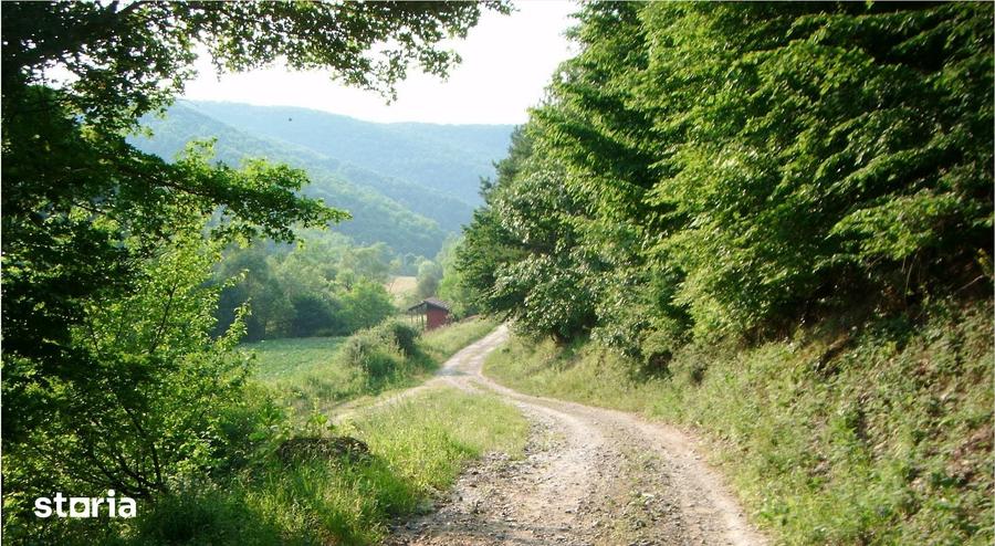 Teren de 6000 mp, în Vețel