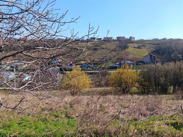Teren Construcții intravilan de 83000 mp, în Vorovești