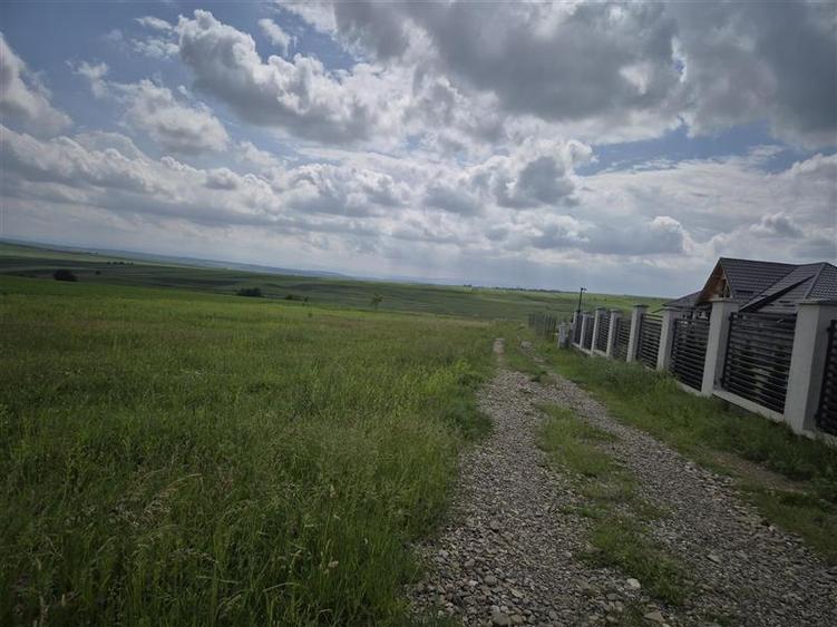 Teren agricol extravilan de 800 mp, în Moara Nica