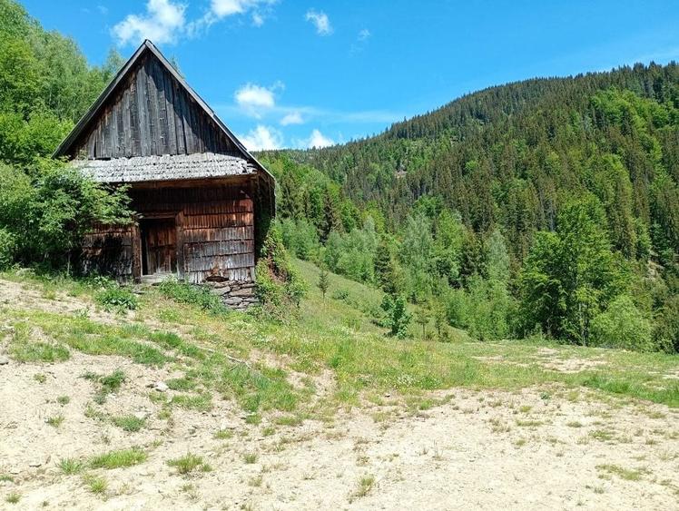 Casă cu 3 camere în Horea