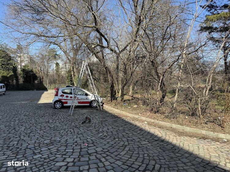 Spațiu comercial, de 11,000 mp, în Plevnei