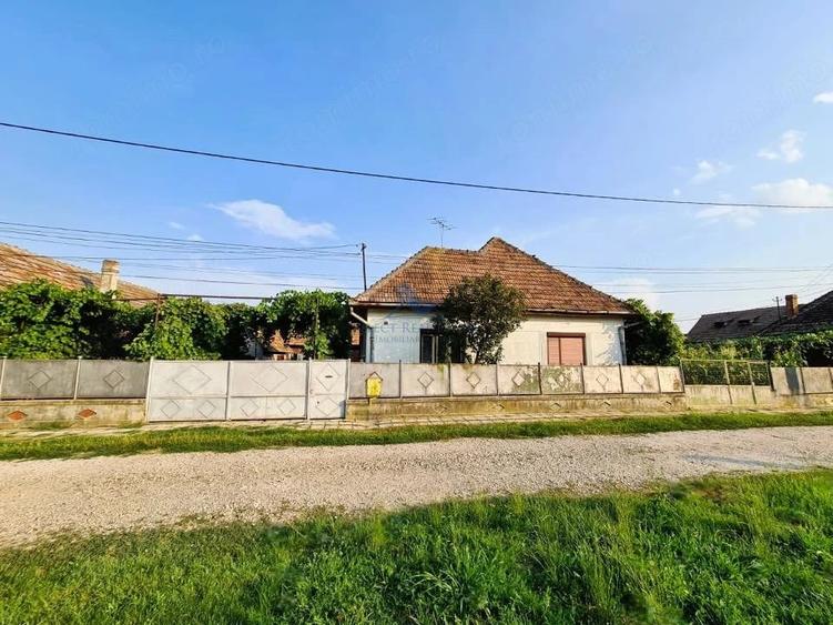Casă cu 4 camere cu Teren 1500 Mp în Sud