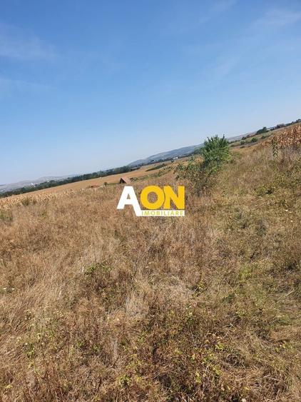 Teren agricol extravilan de 7737 mp, în Sud