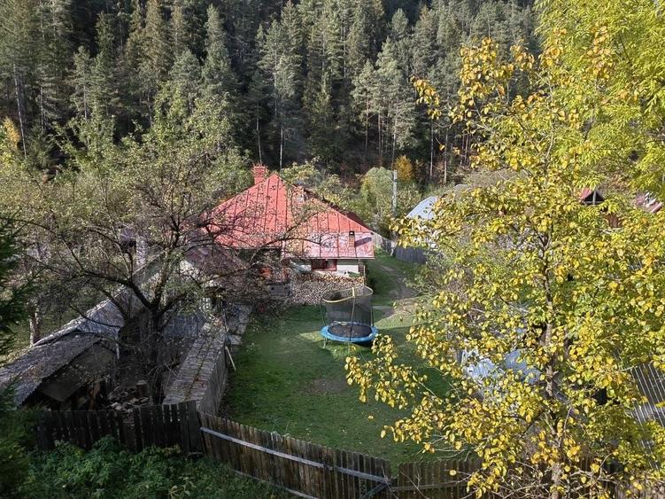 Casă cu 4 camere în Borca