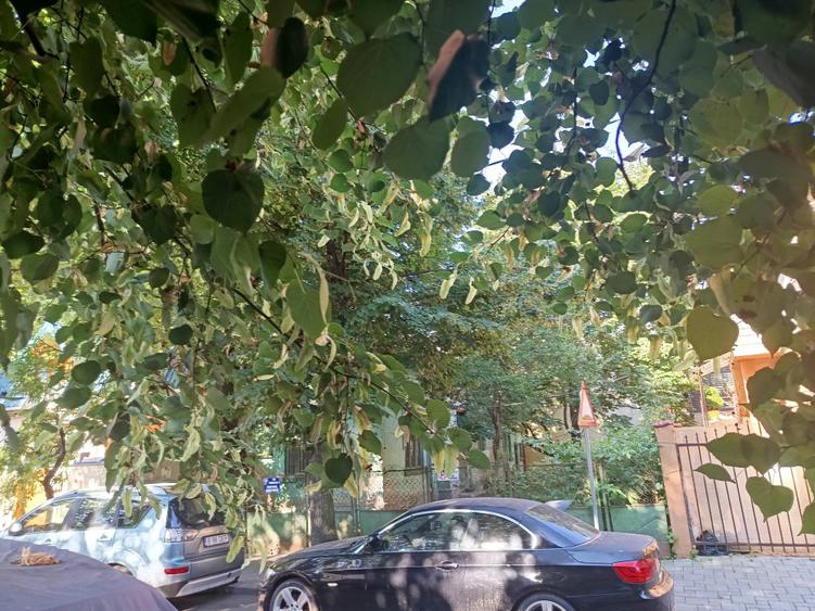 Casă individuală cu 3 camere cu Canalizare în Vatra Luminoasă