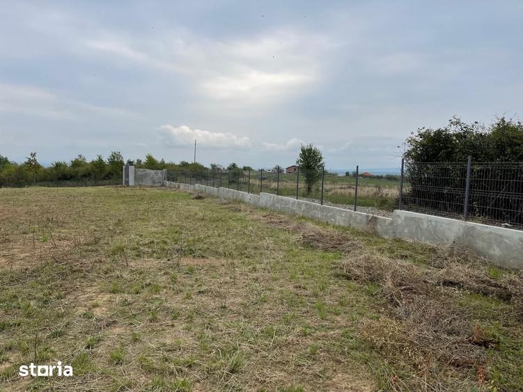 Teren de 11600 mp, în Viile Satu Mare