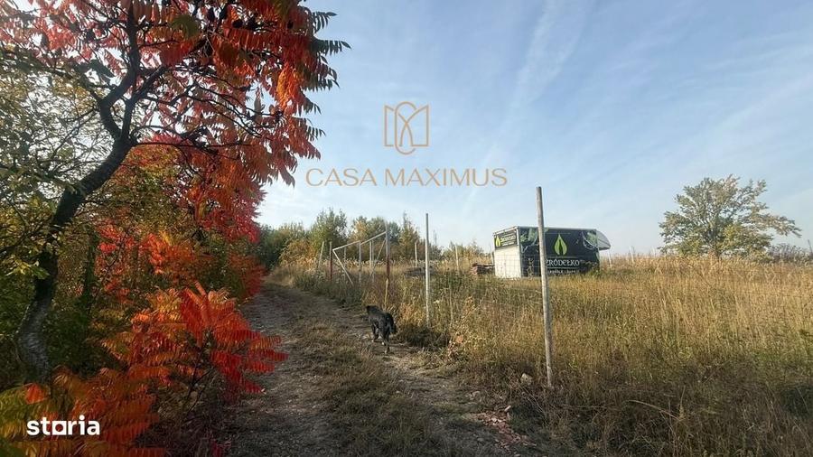 Spațiu comercial, în Șura Mare