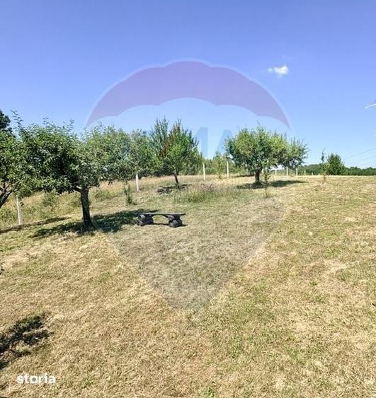Casă cu 1 camere cu Teren 3177 Mp în Giulești