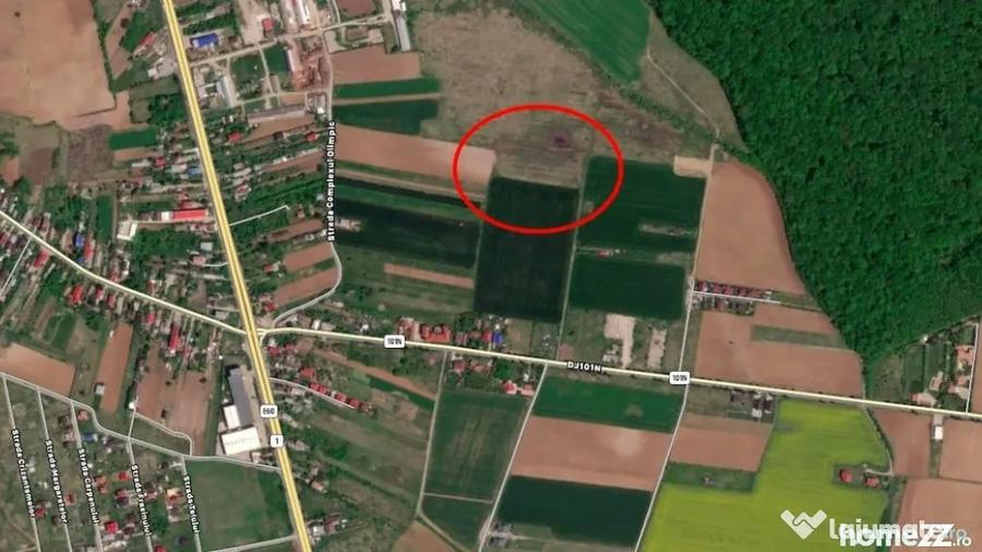 Teren în Ciolpani