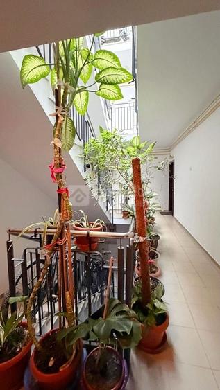Apartament cu 2 camere semidecomandat, mobilat în Păcurari