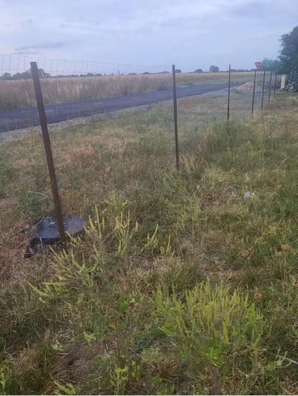 Casă cu 2 camere cu Teren 2000 Mp în Central