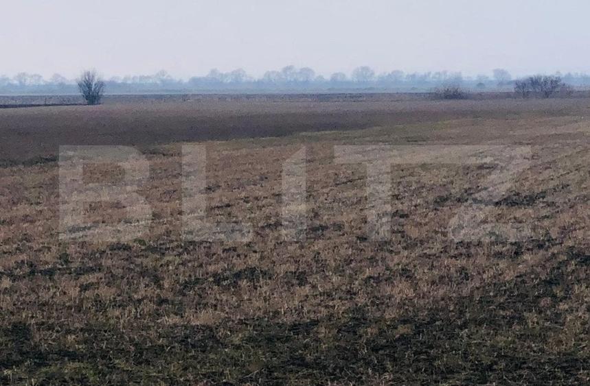 Teren Construcții extravilan de 30000 mp, în Nord