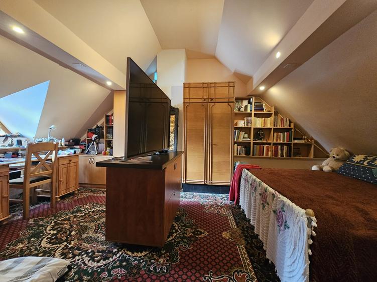 Casa Bacia, judet Hunedoara - 13