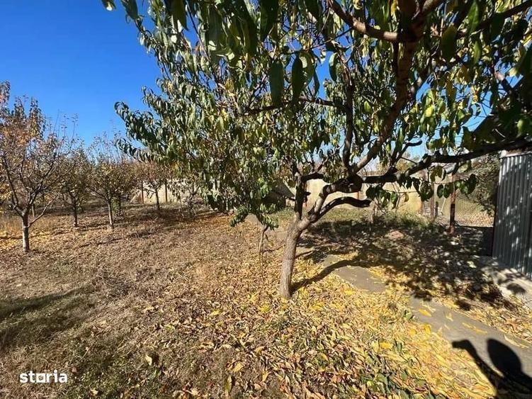 VANZARE CASA P+M PREDESTI PRAHOVA TEREN 1200 MP TOATE UTILITATILE - 10