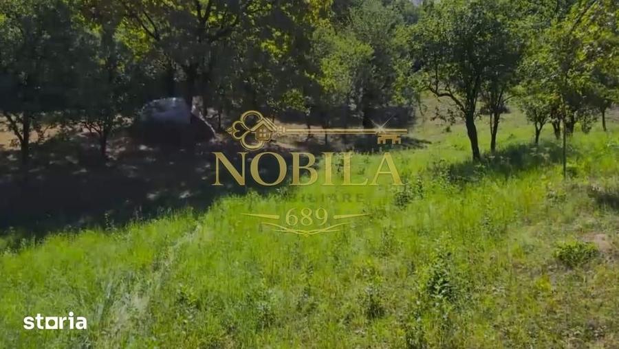 Teren de 10537 mp, în Bogdănești