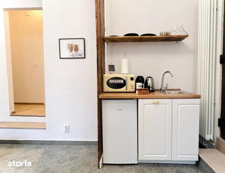 Garsoniera cocheta, pet-friendly in centru - 1