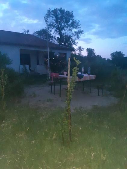 Casă cu Teren 1592 Mp în Schitu