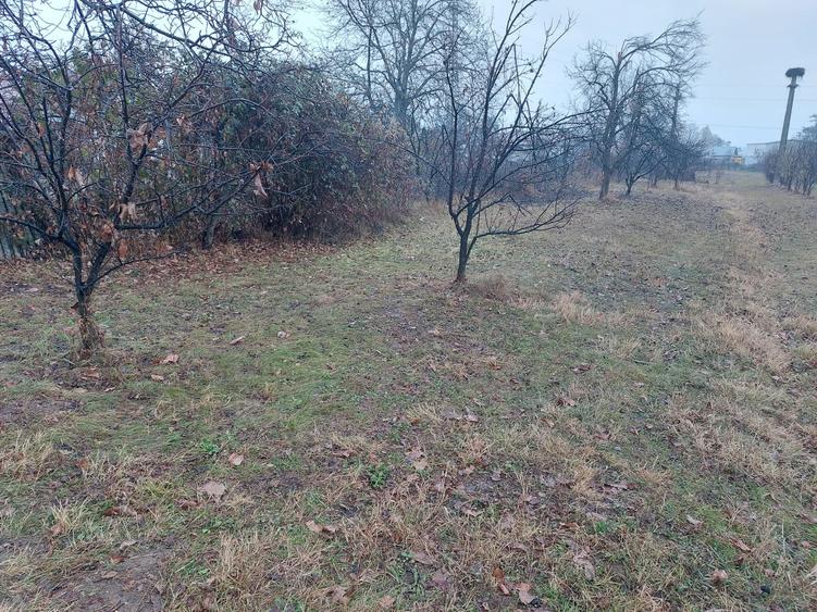 Teren Construcții intravilan de 5265 mp, în Teișani