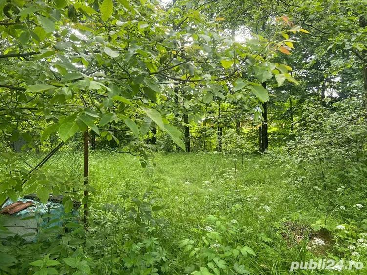 Teren de 1450 mp, în Dejani