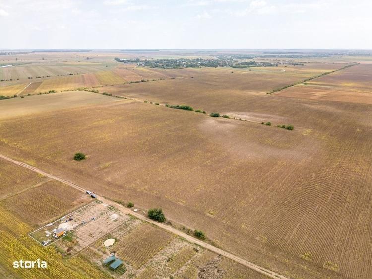 Dascalu Teren Intravilan 11300 Mp, Investitie! - 3