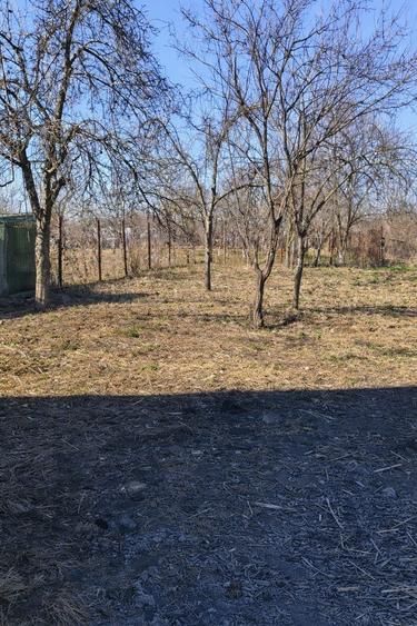 Casa + teren 1457 mp in Darmanesti se vand impreuna sau separat - 5