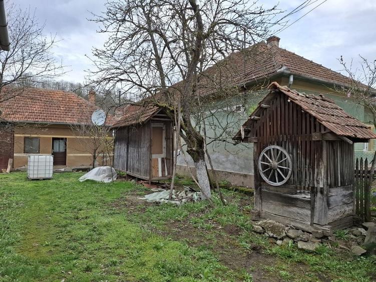 Casă cu 3 camere cu Teren 1677 Mp în Pleșcuța