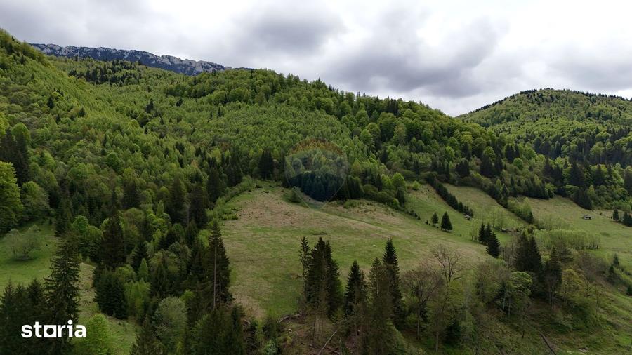 Teren de 48297 mp, în Rucăr