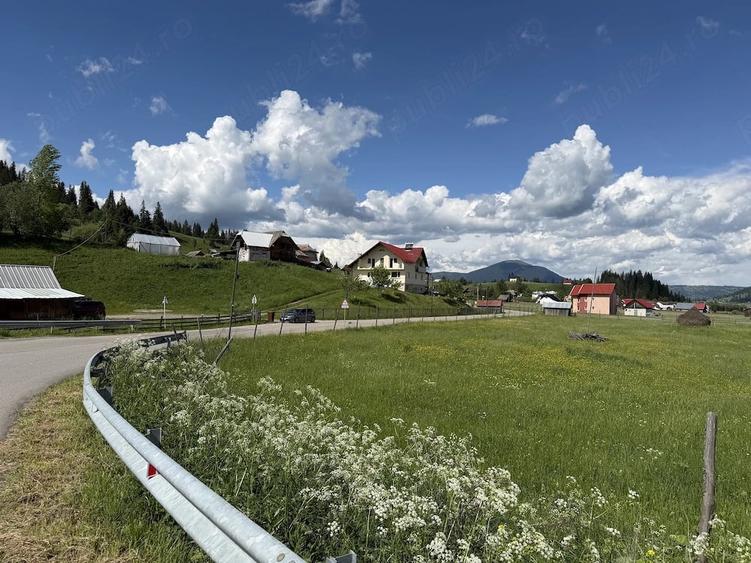 Teren de 8468 mp, în Poiana Negrii