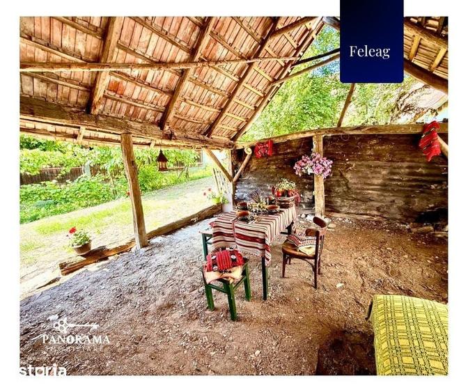 Casă cu 3 camere cu Teren 1590 Mp în Vânători