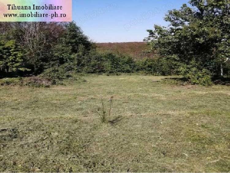 Teren Construcții intravilan de 1700 mp, în Cocoșești