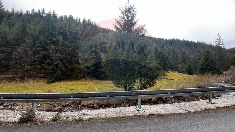 Teren Construcții intravilan de 4331 mp, în Arieșeni