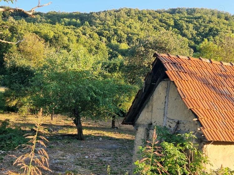 Casă cu 3 camere în Căpruța