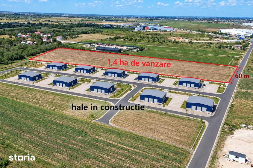 Teren de 25000 mp, în Bolintin-Deal