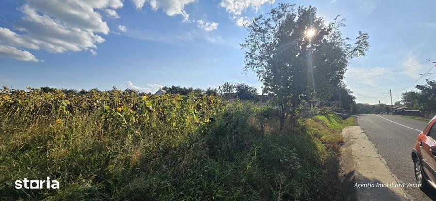 Teren de 3200 mp, în Curtești