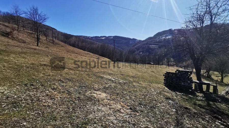 Teren Construcții intravilan de 10100 mp, în Munteni