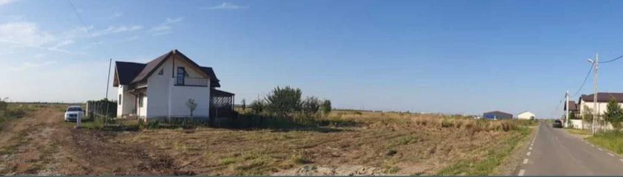 Domnesti If 2500 mp intravilan str Merisorului - 6