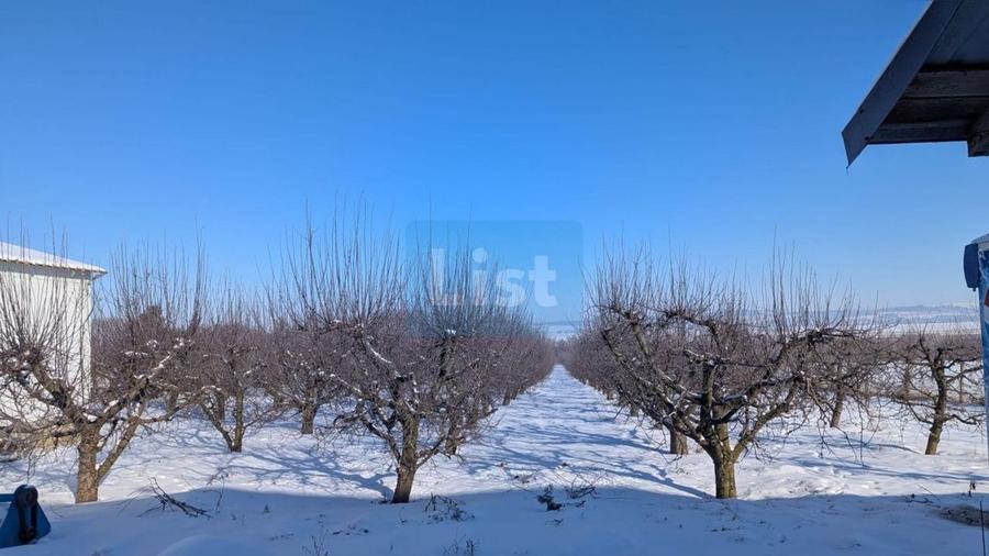 Spațiu industrial, de 385 mp, în Siret