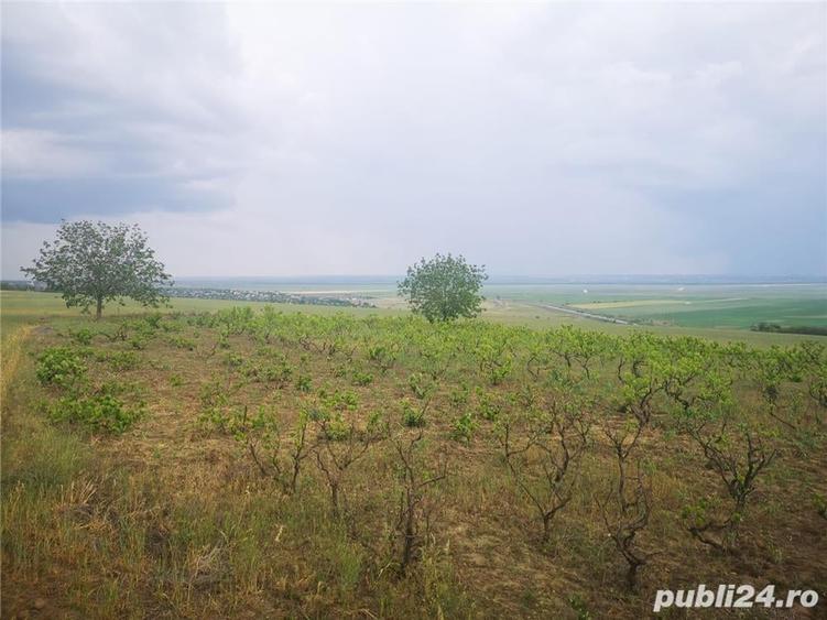 Teren de 5000 mp, în Central