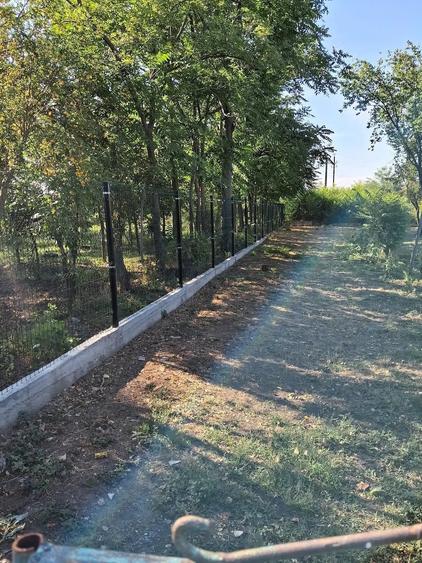 Casă cu Teren 1500 Mp în Orbeasca