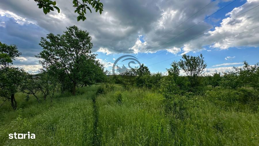 Teren de 3600 mp, în Gura Vitioarei