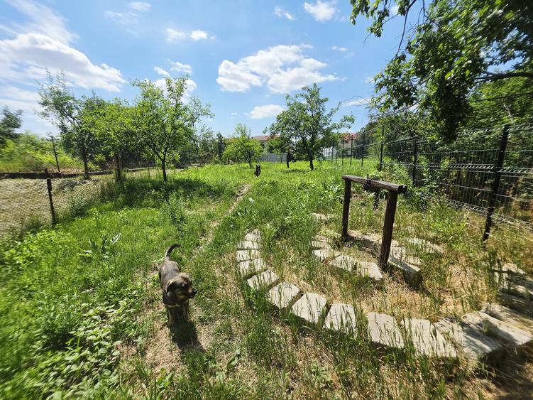 Casă individuală cu 3 camere cu Teren 536 Mp în Ceptura de Jos