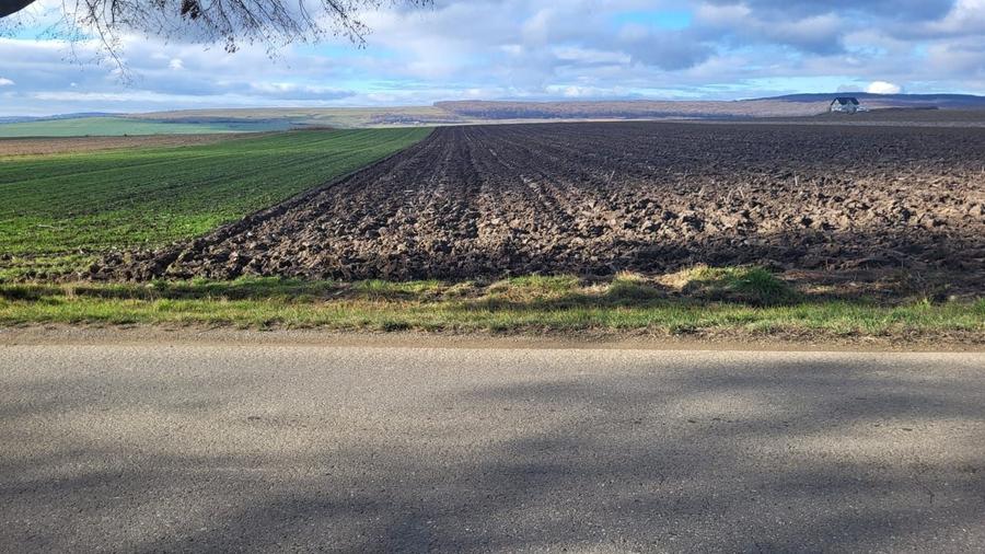 Teren agricol extravilan de 3678 mp, în Mitocu Dragomirnei