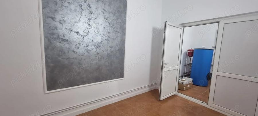 Casă cu 6 camere în Banat