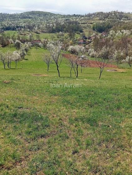 Teren de 2800 mp, în Ormindea