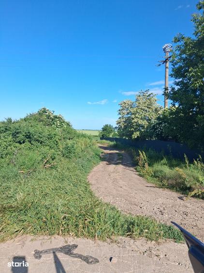 Teren de 1000 mp, în Central