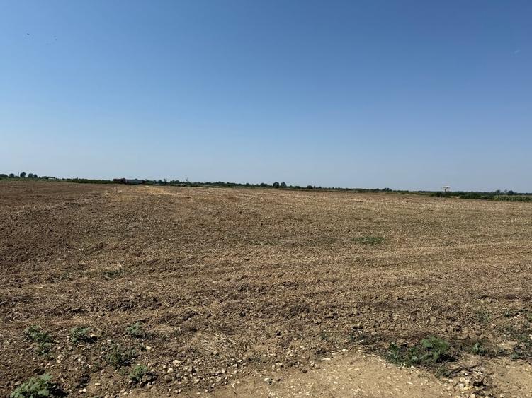 Teren agricol extravilan de 30000 mp, în Uliești