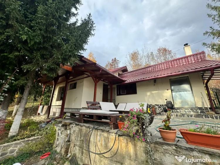 Casă cu 4 camere cu Teren 1527 Mp în Tăuții de Sus