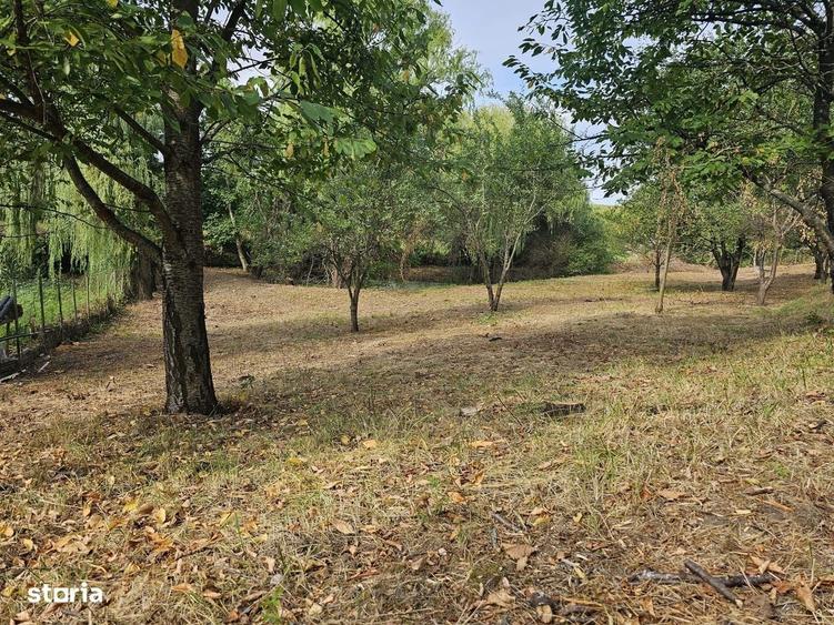 Vila rustica cu teren ca la munte 1291 mp semi central Iasi - 5